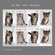 Art Mail  Cats from  Murawiec
